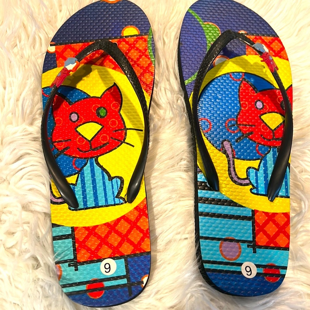 Multicolored new without tags flip-flops
